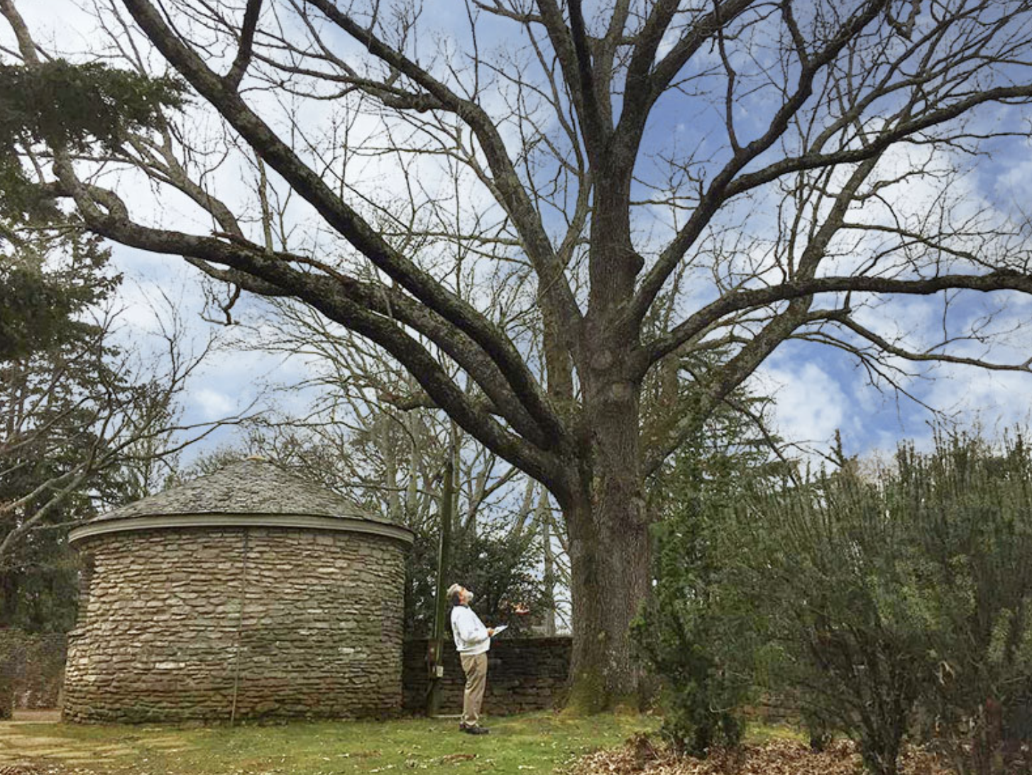 W. Jim Cortese featured in ArborTIMES for an article about arborist mentorship and tree care